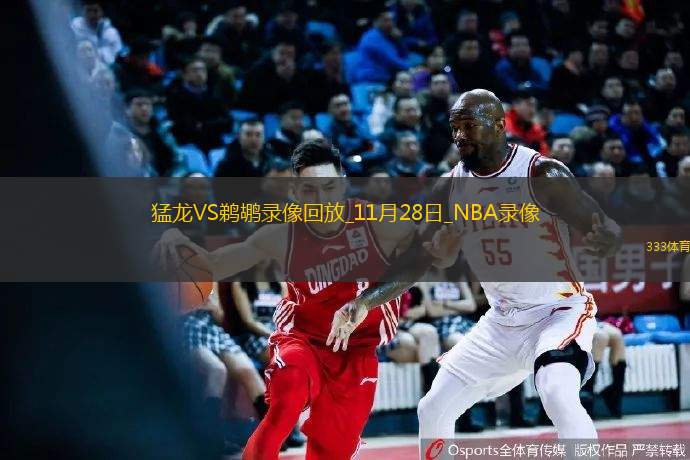 2024年11月28日NBA常规赛猛龙vs鹈鹕