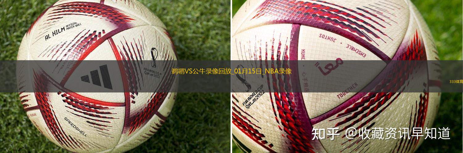 NBA常规赛鹈鹕119-113公牛