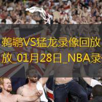 2025年1月28日NBA常规赛鹈鹕vs猛龙