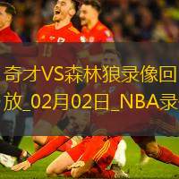 2025年2月2日NBA常规赛奇才vs森林狼