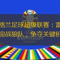 英格兰足球超级联赛：富勒姆迎战狼队，争夺关键积分