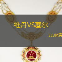 维丹VS塞尔