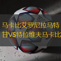 马卡比艾罗尼拉马特甘VS特拉维夫马卡比