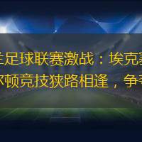 英格兰足球联赛激战：埃克塞特城与查尔顿竞技狭路相逢，争夺分差